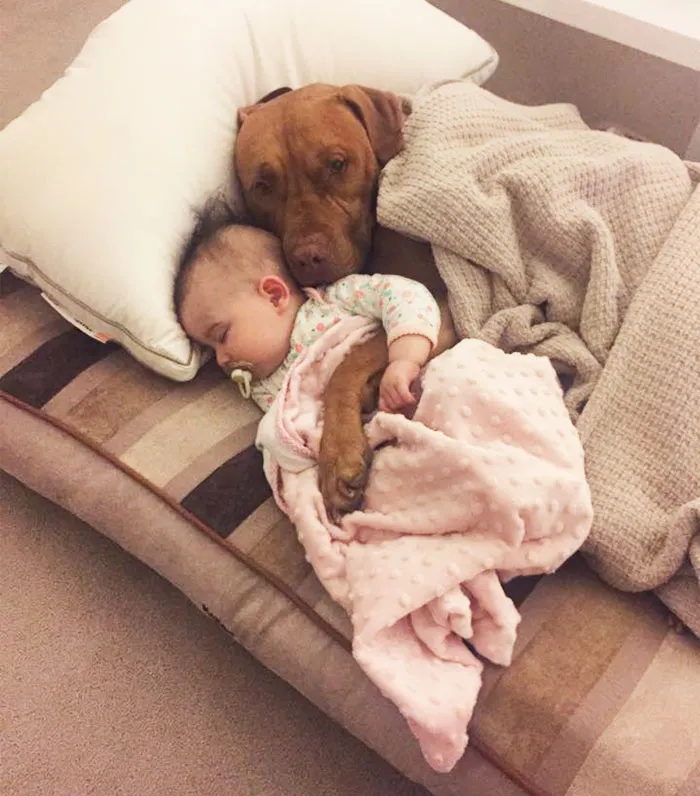 Cuddles