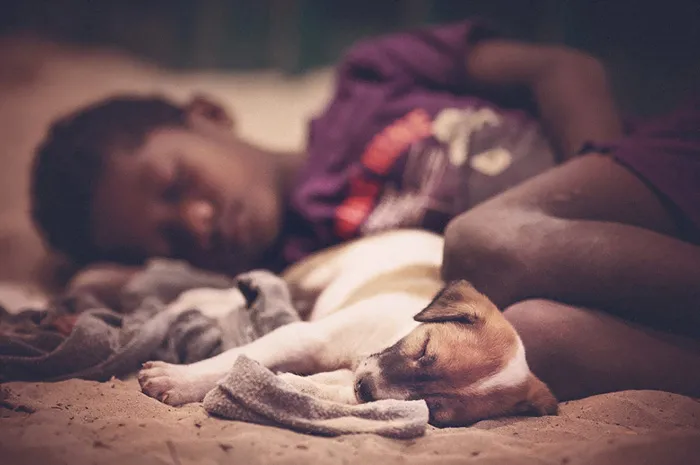 Sleeping Friends