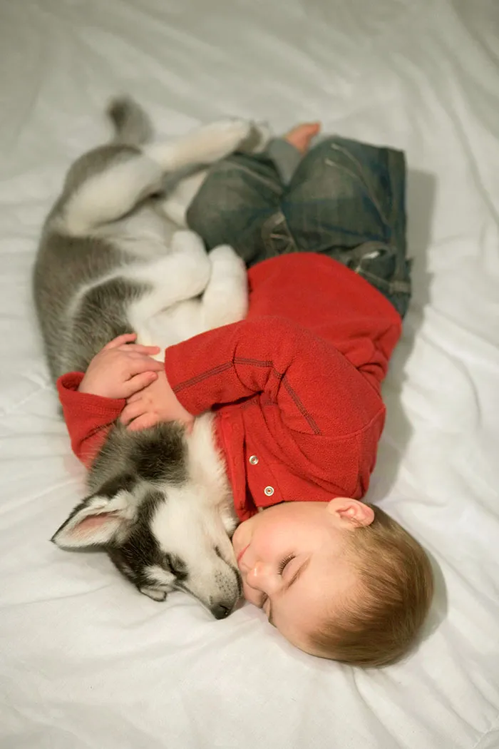 Napping Buddies