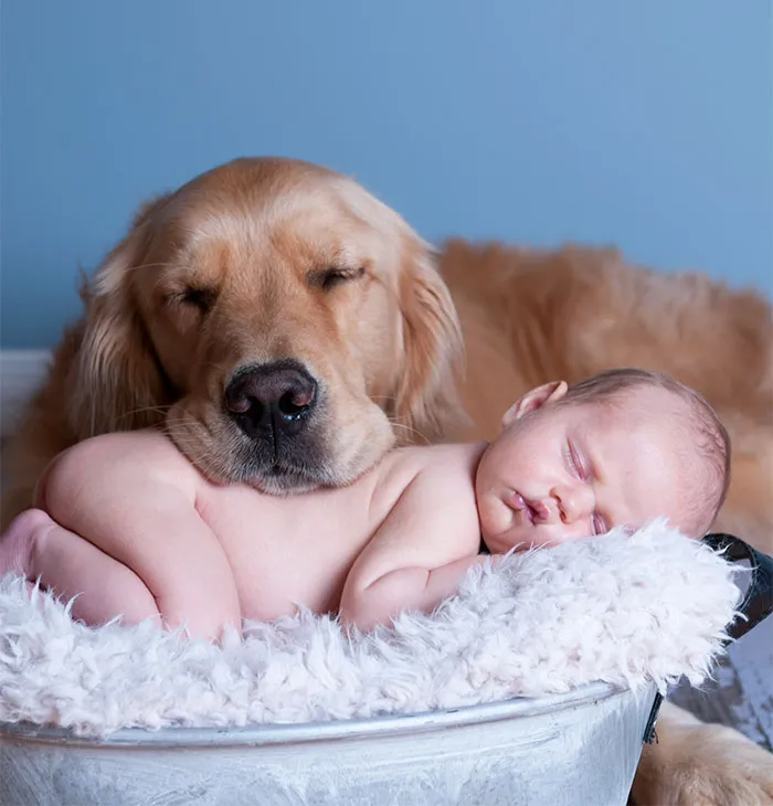 Drifted Into Sweet Dreams Together