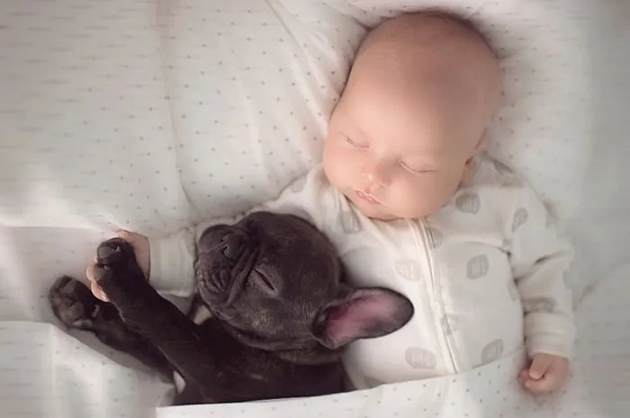 Two Babies Sleeping