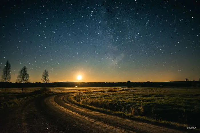 Summer Magic In The Night