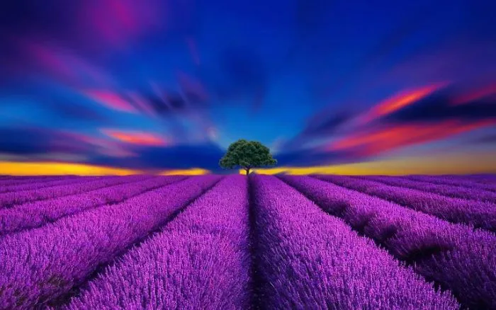 Beautiful World