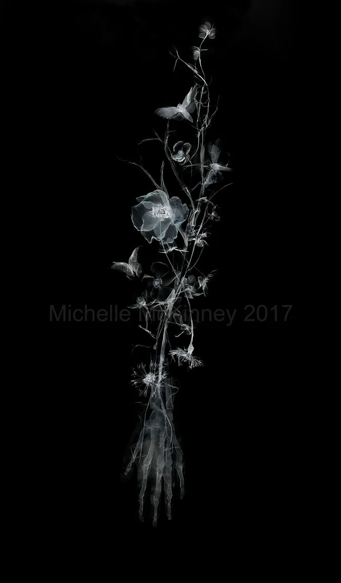 I Create Woven Metal Sculptures And Turn Them Into X-Ray Photographs.