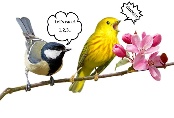 Let's Race!!!