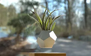 Levitating Flower Pot