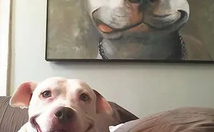 86 Times Life Imitated Art