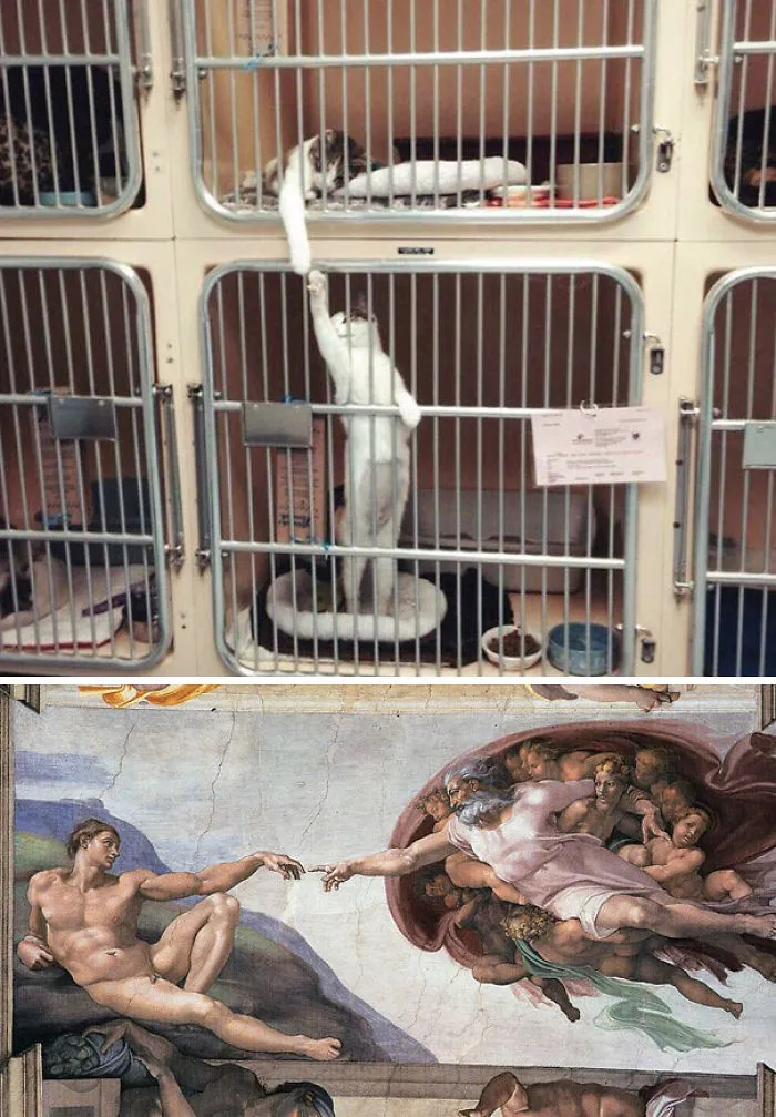 86 Times Life Imitated Art