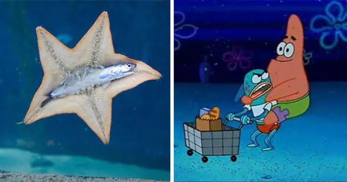 86 Times Life Imitated Art