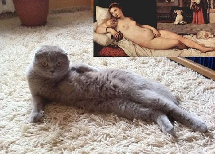 86 Times Life Imitated Art