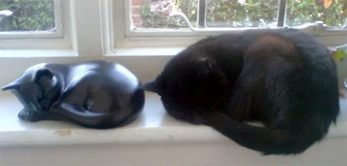 86 Times Life Imitated Art