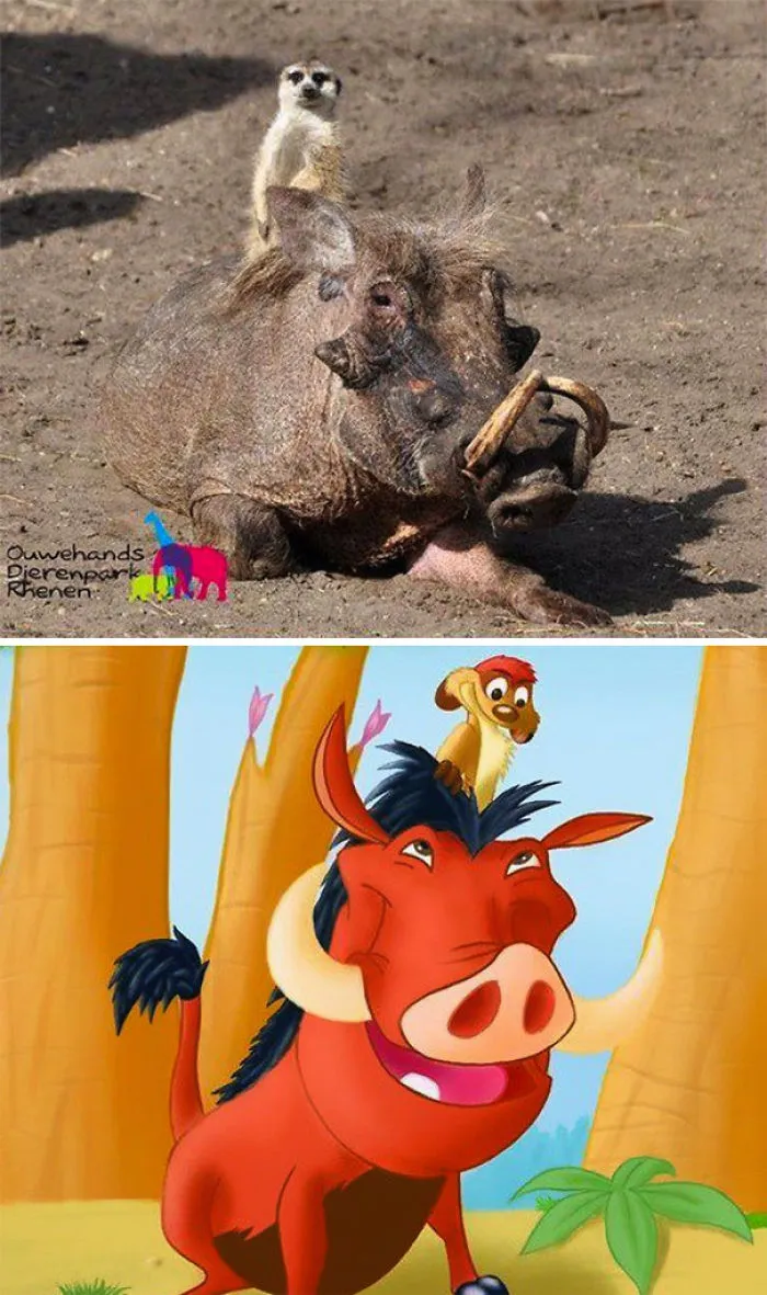 86 Times Life Imitated Art