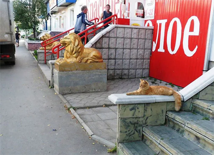 86 Times Life Imitated Art