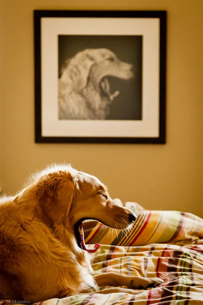 86 Times Life Imitated Art