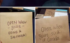 74 Photos Of True Love That Will Give You Butterflies