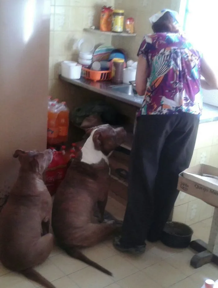 Lunch Time