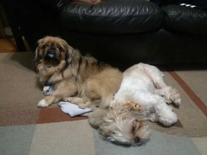Melted Together