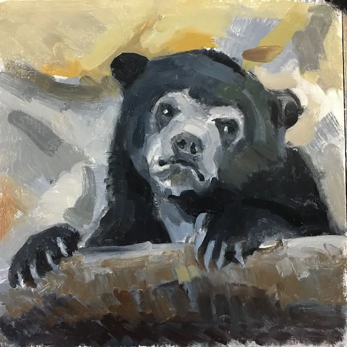 Confession Bear