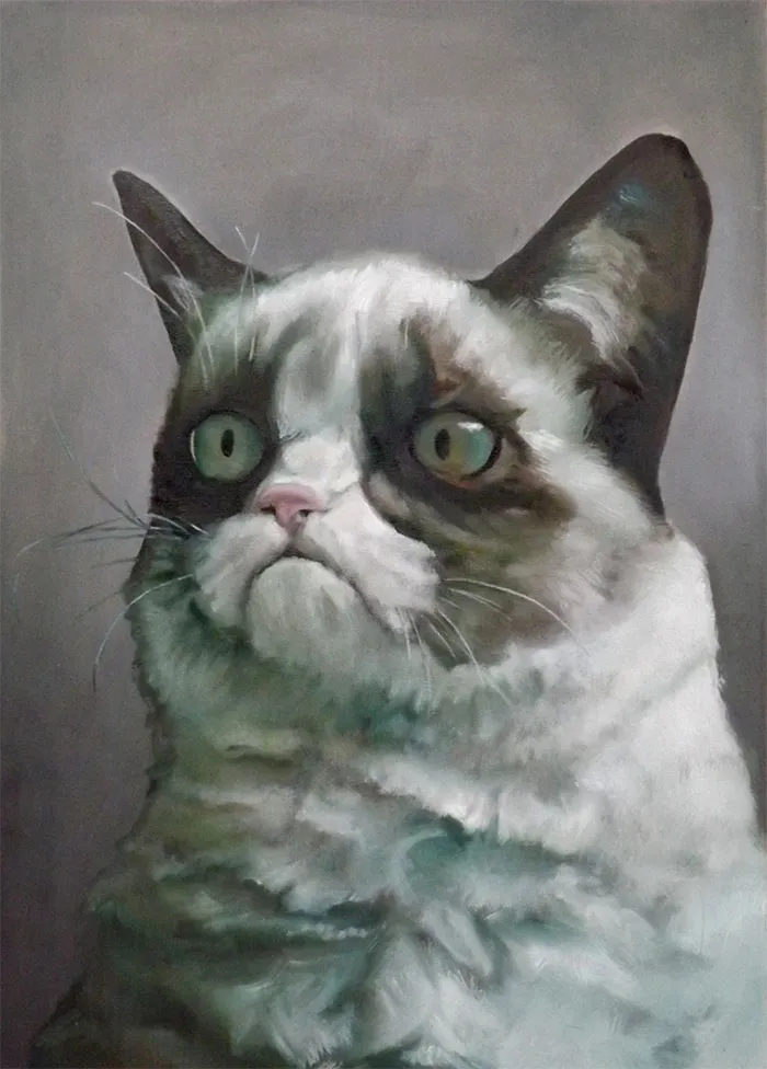 Gumpy Cat