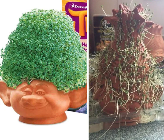 Chia Pet: Expectation Vs. Reality