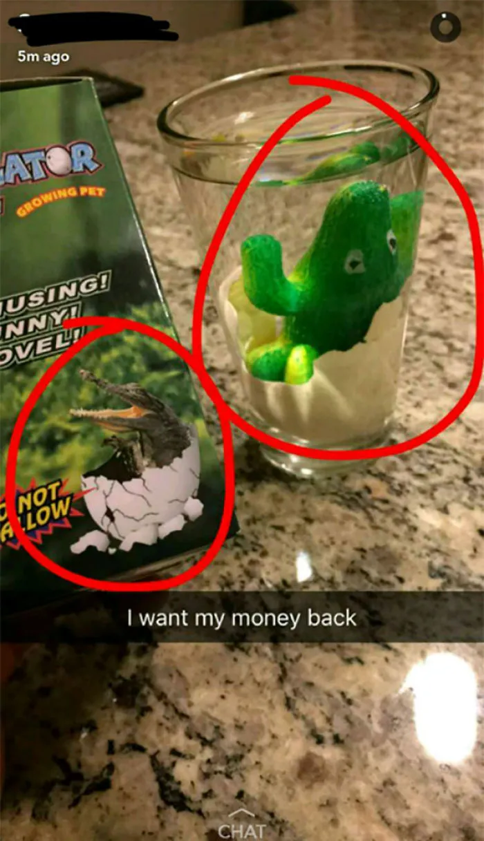 Growing An Alligator