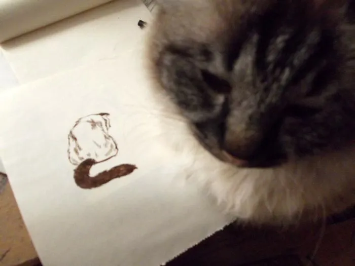 Minimalistic Approach Of My Cat "fluff".