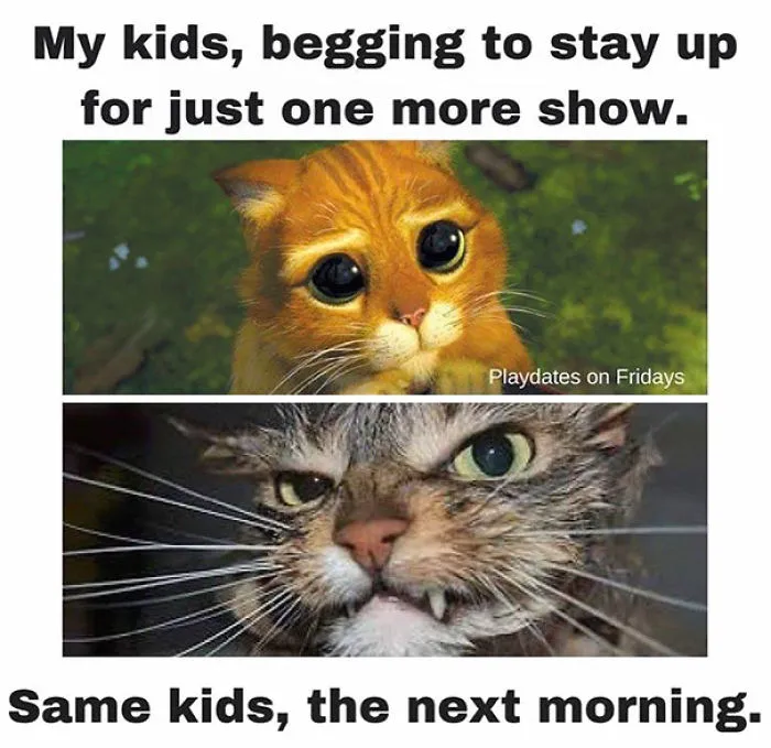 Night vs. Morning