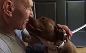 Patrick Stewart Meets His New Foster Pit Bull, Falls In Love Immediately