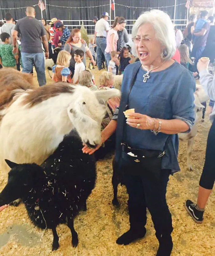 My Grandma's First Time At The Rodeo And I Guess You Can Say She Liked It
