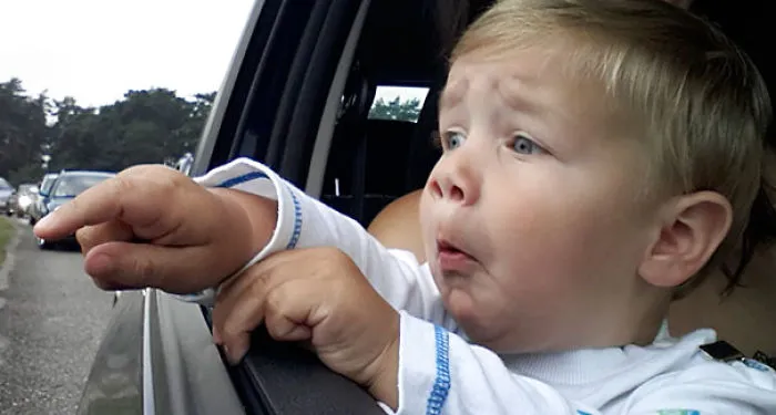 My Nephew Seeing Giraffes For The First Time