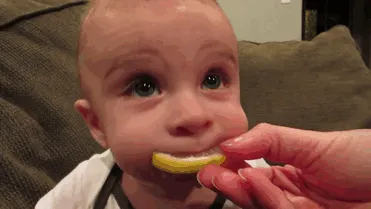 Baby Tastes Lemon For The First Time