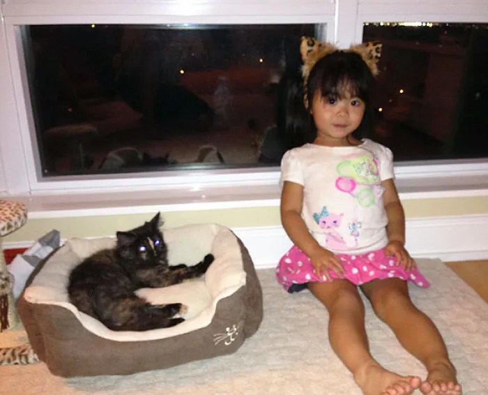 My Kitten And Niece's First Time Meeting. She Insisted On Wearing Cat Ears And A Cat Shirt To Help Break The Ice