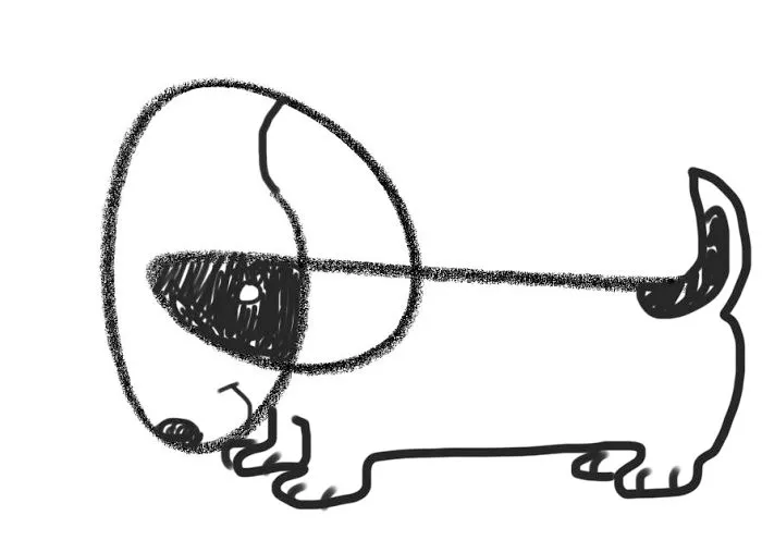My Dachshund