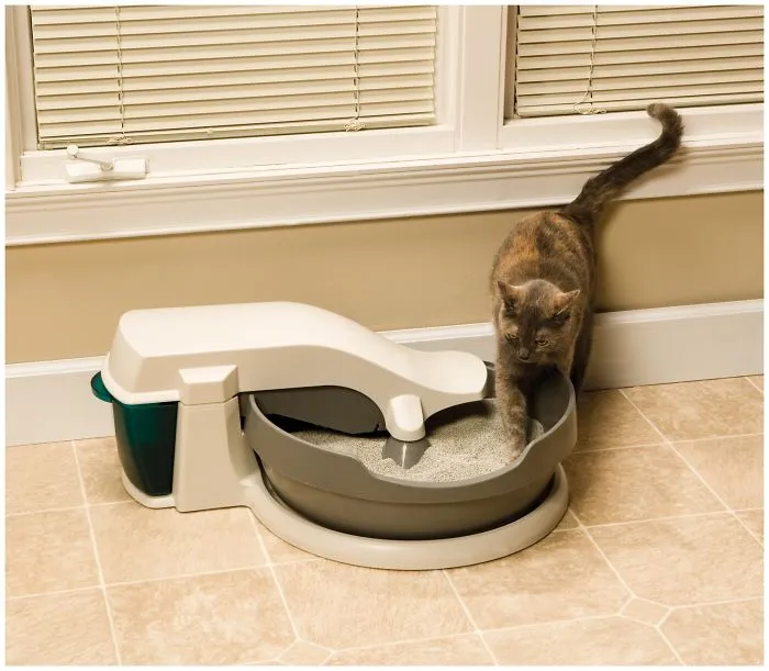 5 Litter Boxes For Clean Freaks