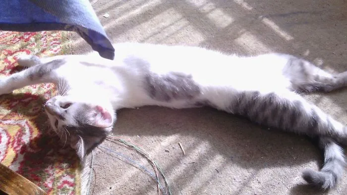 Melting In The Sun.