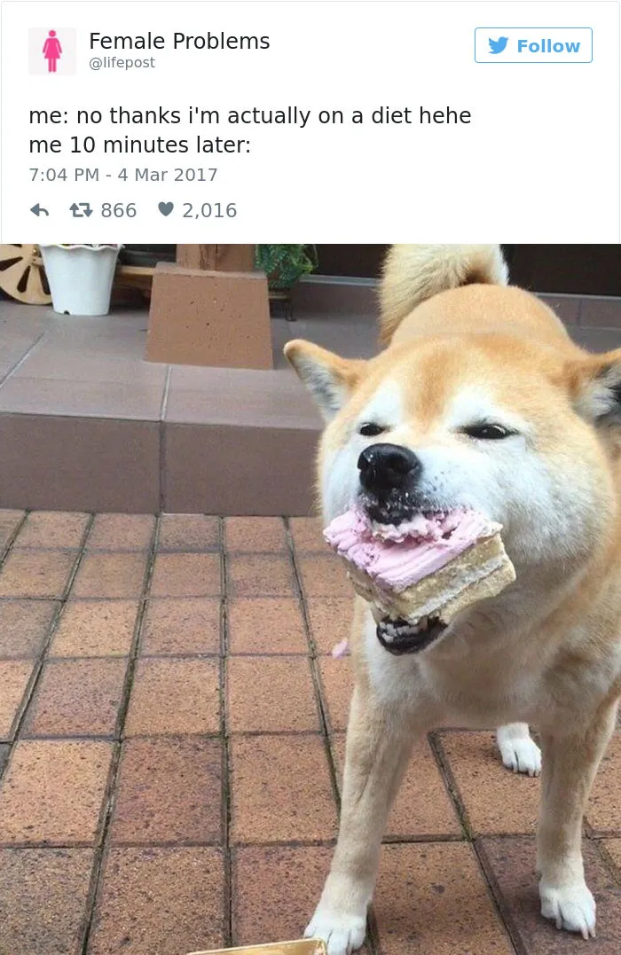 82 Hilarious Picture Tweets That Every Woman Will Relate To