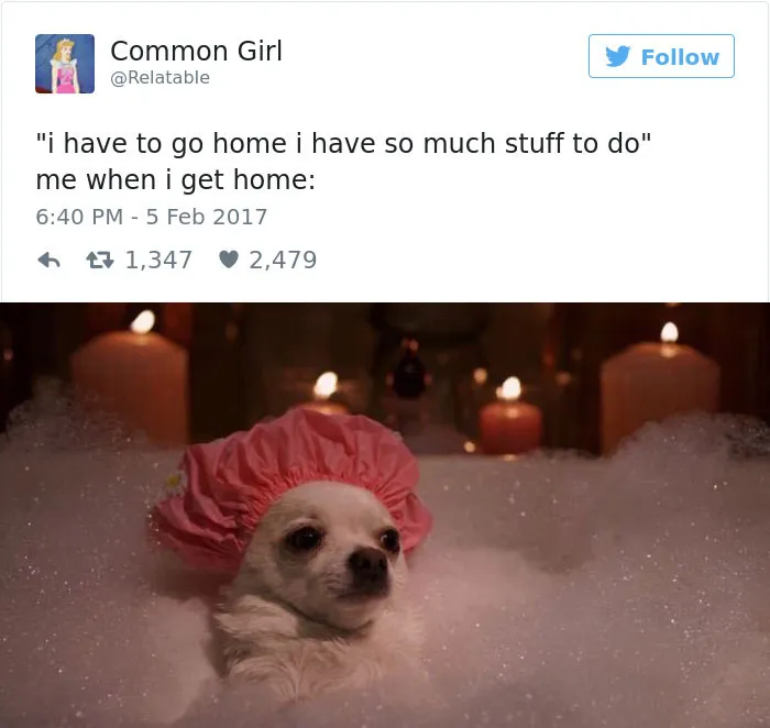 82 Hilarious Picture Tweets That Every Woman Will Relate To