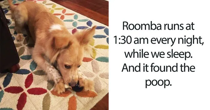 What Happens When Roomba Runs Over Dog Poo In The Middle Of The Night
