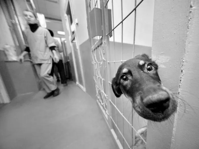 170 Honest Pictures Of Russia You'll Never See On Postcards By Street Photographer Alexander Petrosyan