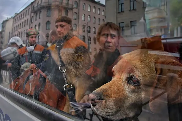 170 Honest Pictures Of Russia You'll Never See On Postcards By Street Photographer Alexander Petrosyan