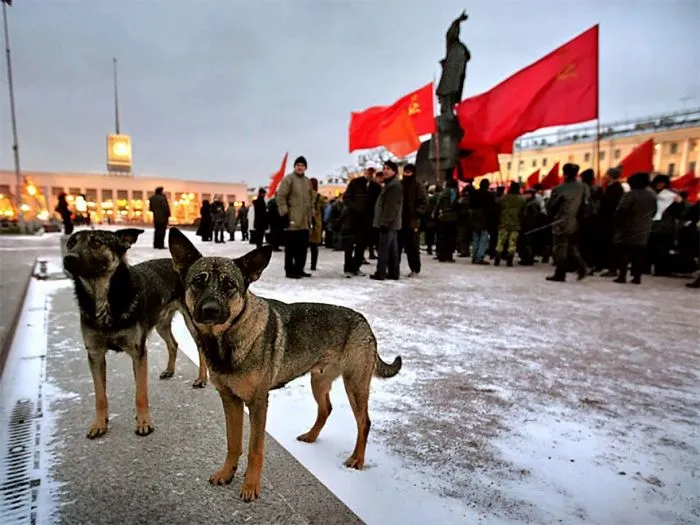 170 Honest Pictures Of Russia You'll Never See On Postcards By Street Photographer Alexander Petrosyan