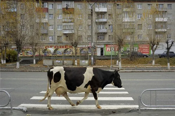 10+ Imágenes honestas de Rusia que nunca verás en las postales, por el fotógrafo urbano Alexander Petrosyan
