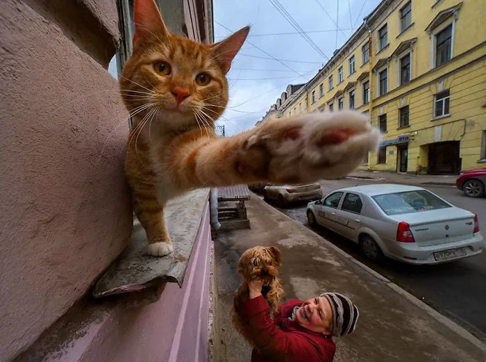 10+ Imágenes honestas de Rusia que nunca verás en las postales, por el fotógrafo urbano Alexander Petrosyan
