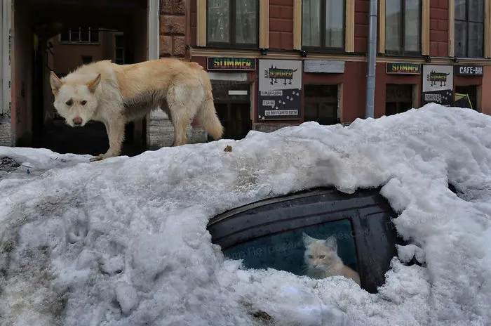 10+ Imágenes honestas de Rusia que nunca verás en las postales, por el fotógrafo urbano Alexander Petrosyan