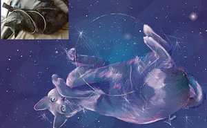 Challenge: Draw A Picture Of Your Pet And Post It Here With A Photo