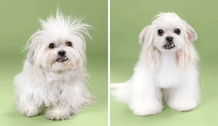 Lana Before And After