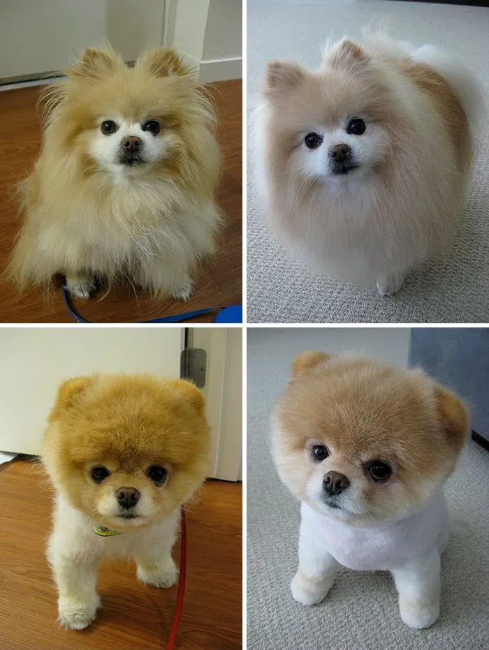This Fluff