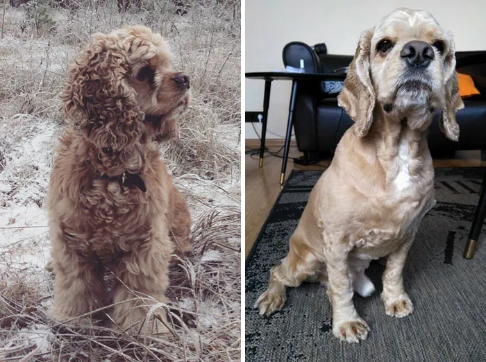 Toris At Winter Vs. At Summer