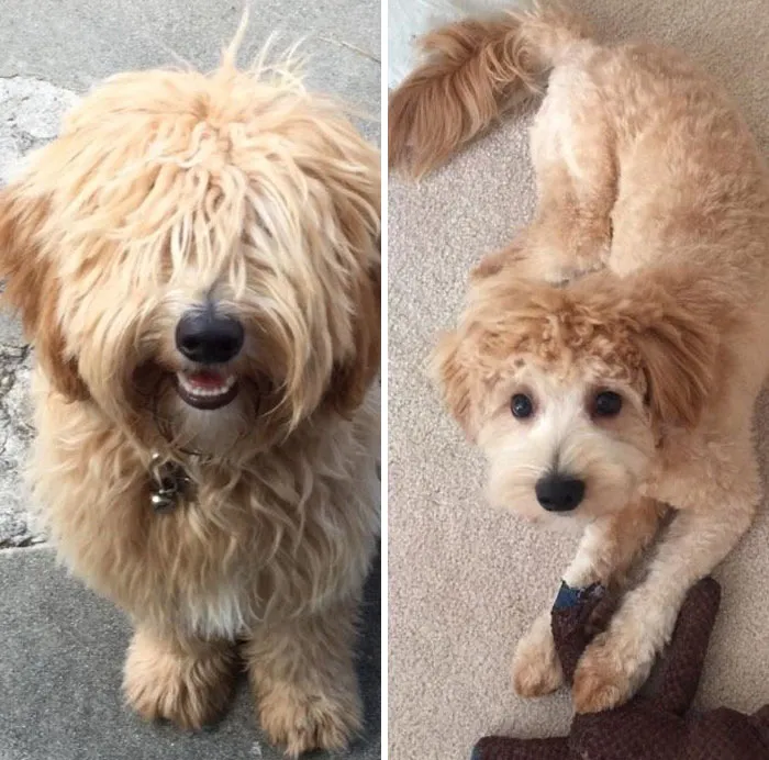 Summer Haircut For This Guy