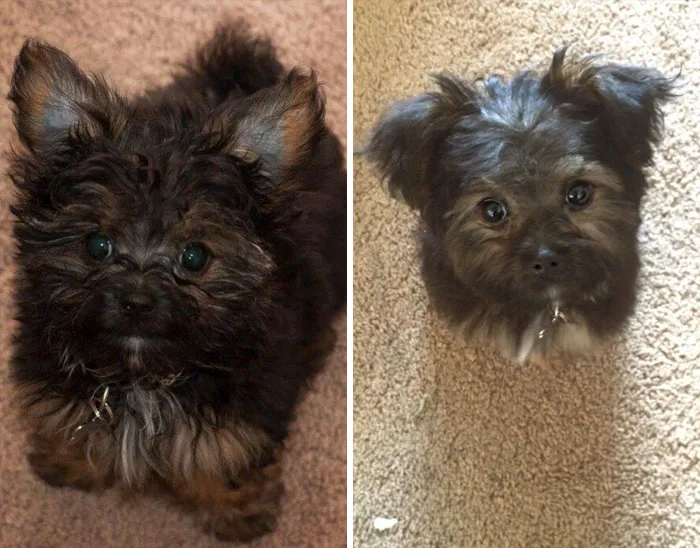 My Big Boy Got His First Haircut Today